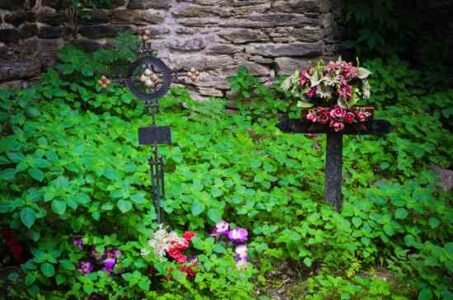 Do-It-Yourself Funerals Image